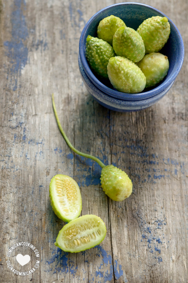 Pepino silvestre o cocombro.