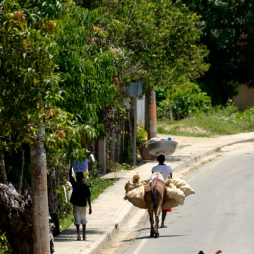 Mujer, niño y burro cargando alimentos comprados en la frontera dominicana