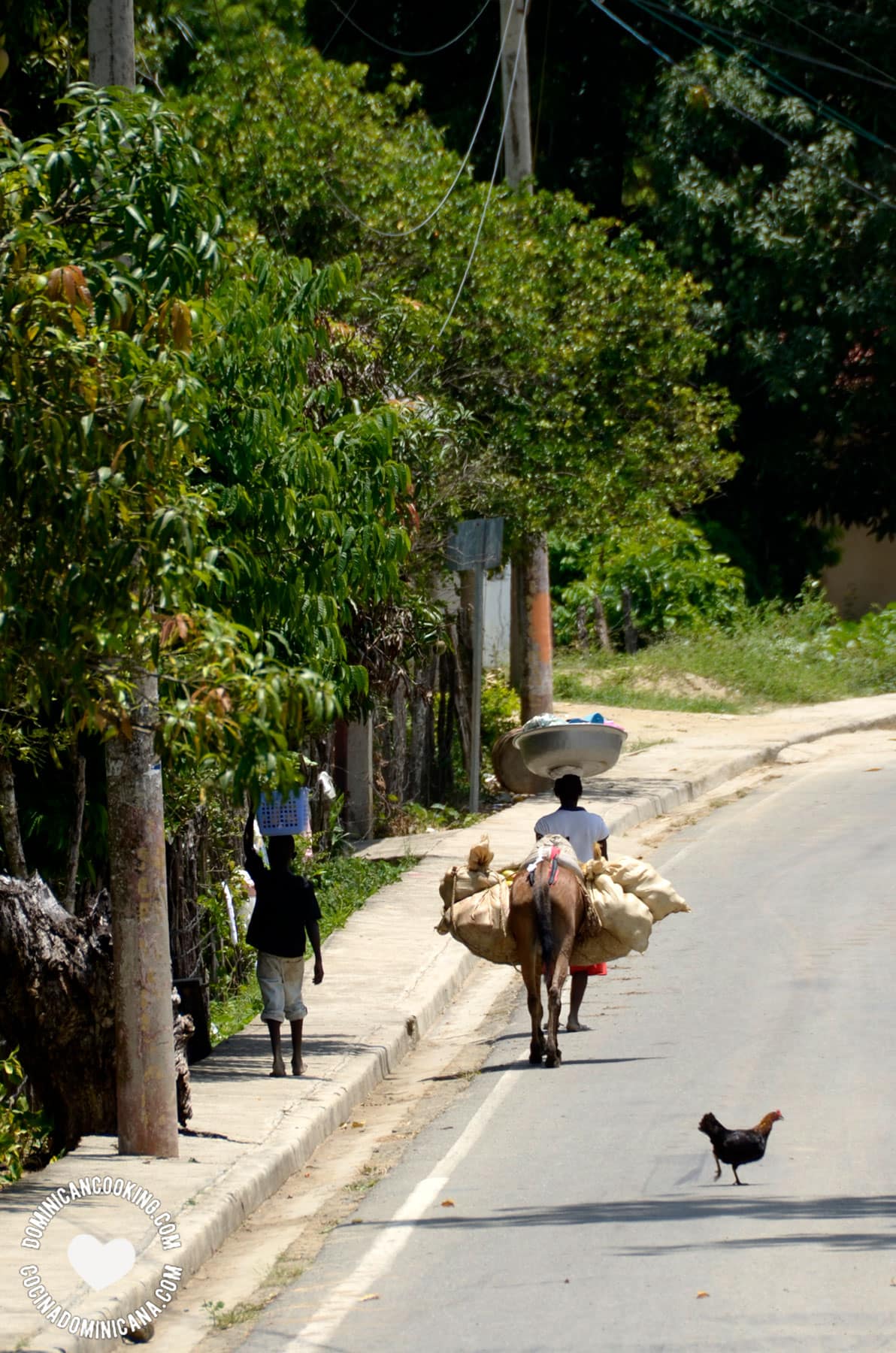 Mujer y niño cargando productos en la zona de la frontera.