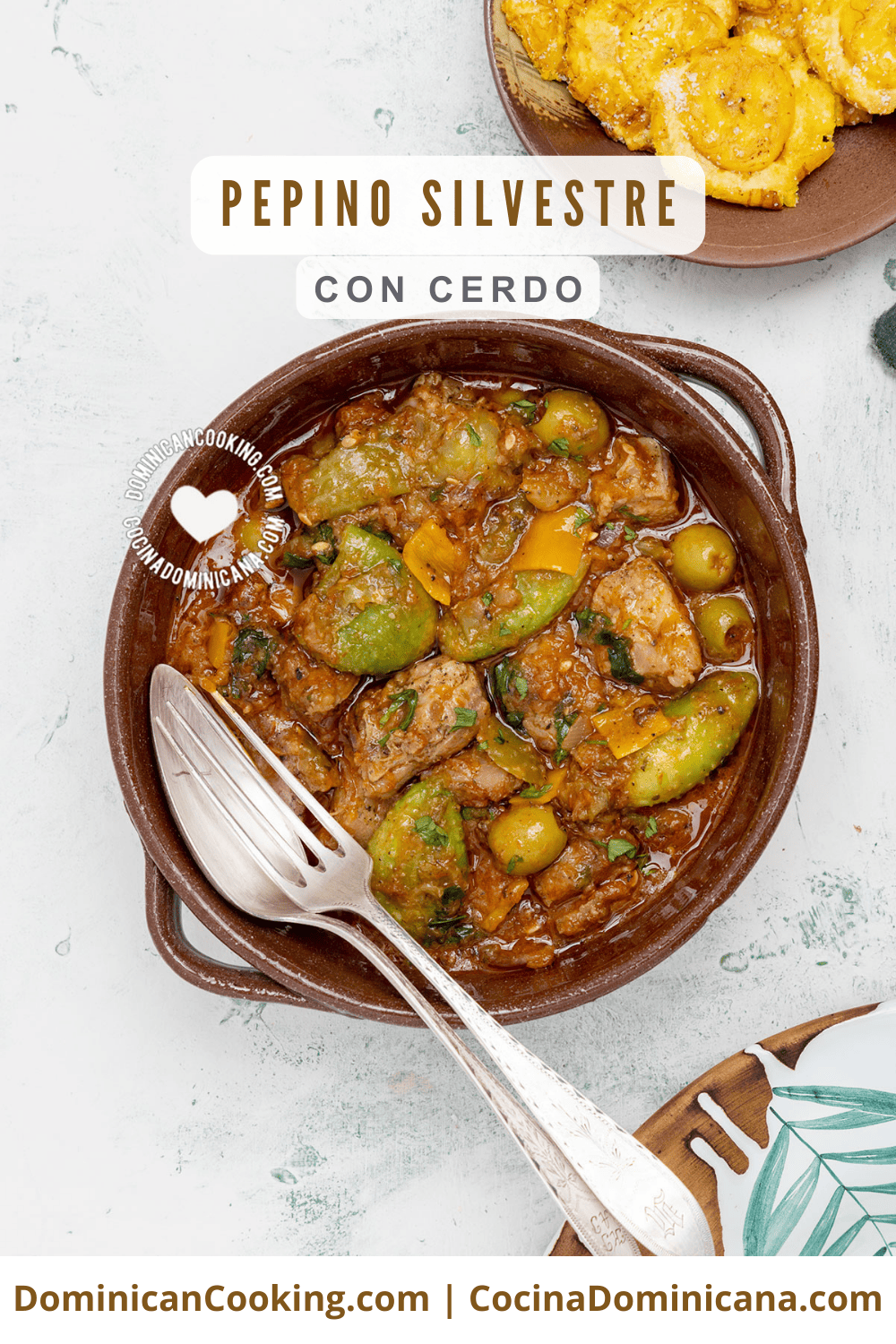 Pepino silvestre con cerdo guisado.