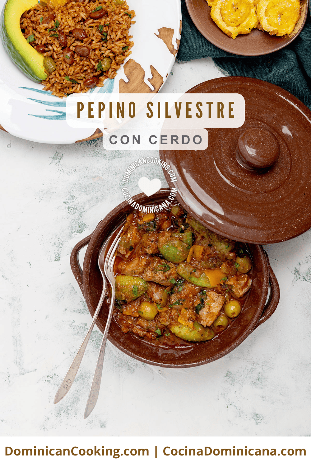 Pepino silvestre con cerdo guisado.