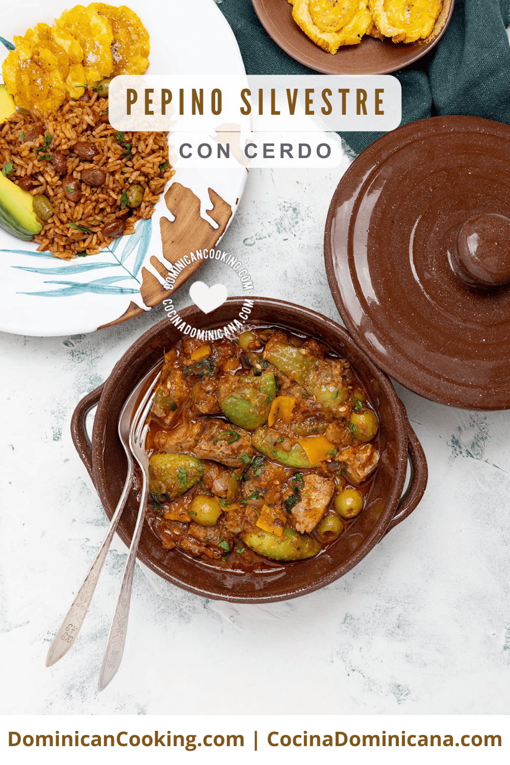 Pepino silvestre con cerdo guisado.