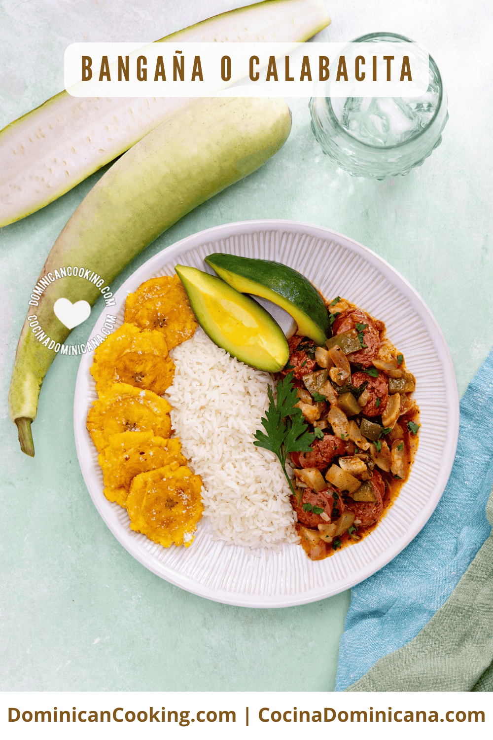 Calabacita, güira o bangaña guisada.