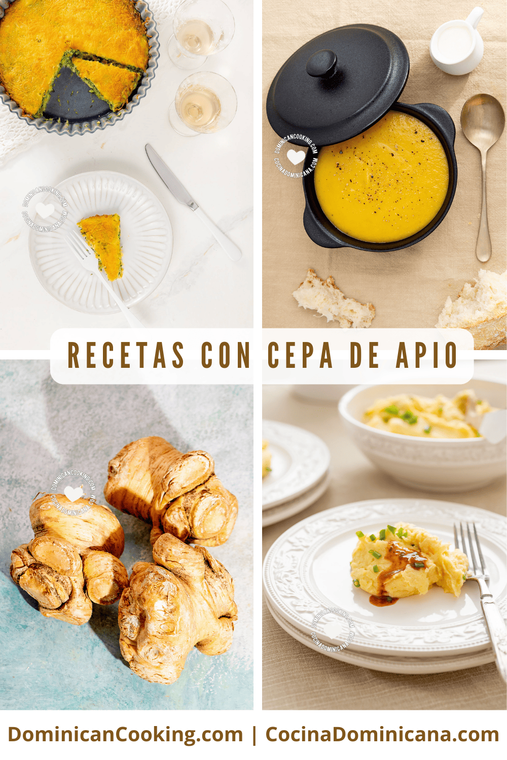 Recetas de arracacha o cepa de apio.